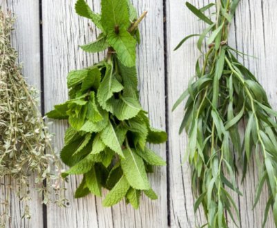 В Франції розпочався сезон сушених трав