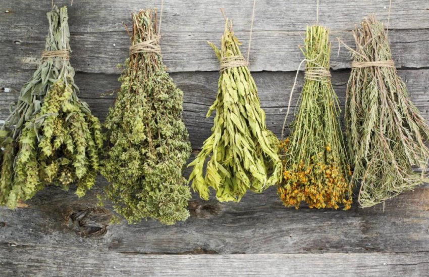 Сушені букети трав Сушені букети трав