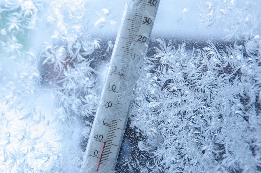 Низькі морози в сільському господарстві Низькі морози в сільському господарстві