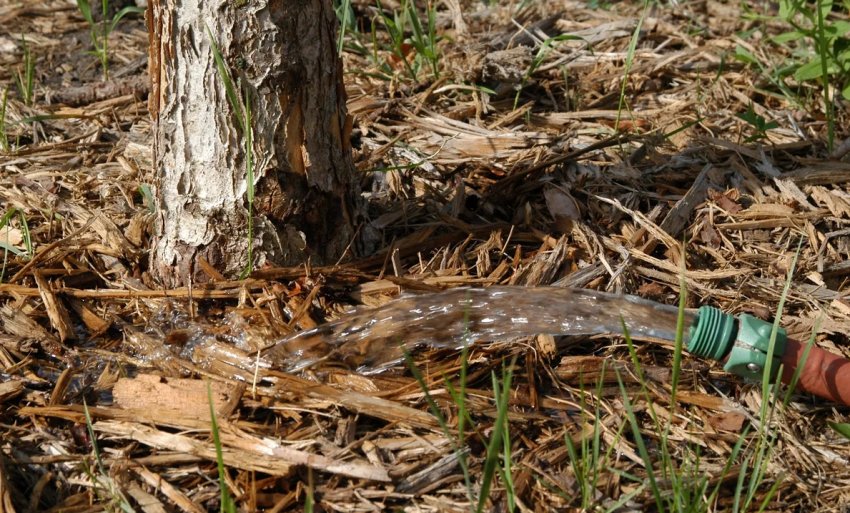 Вологозарядний полив