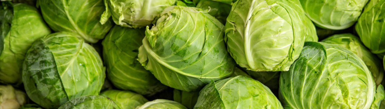 Які 5 сортів білої капусти не мають гіркоти?