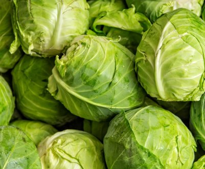 Які 5 сортів білої капусти не мають гіркоти?