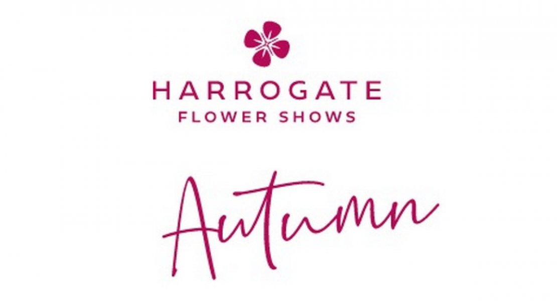 Flower Show Harrogate Autumn 2020