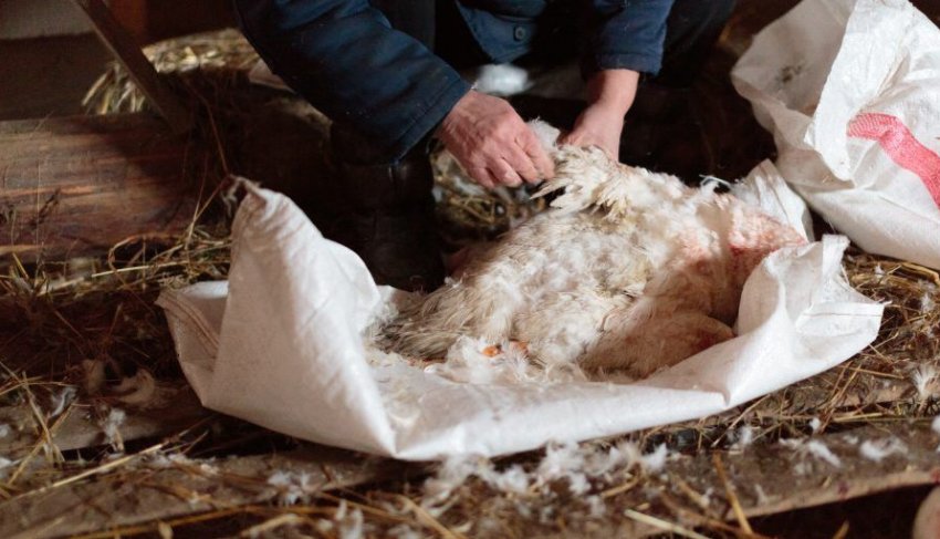 Сухий спосіб Сухий спосіб