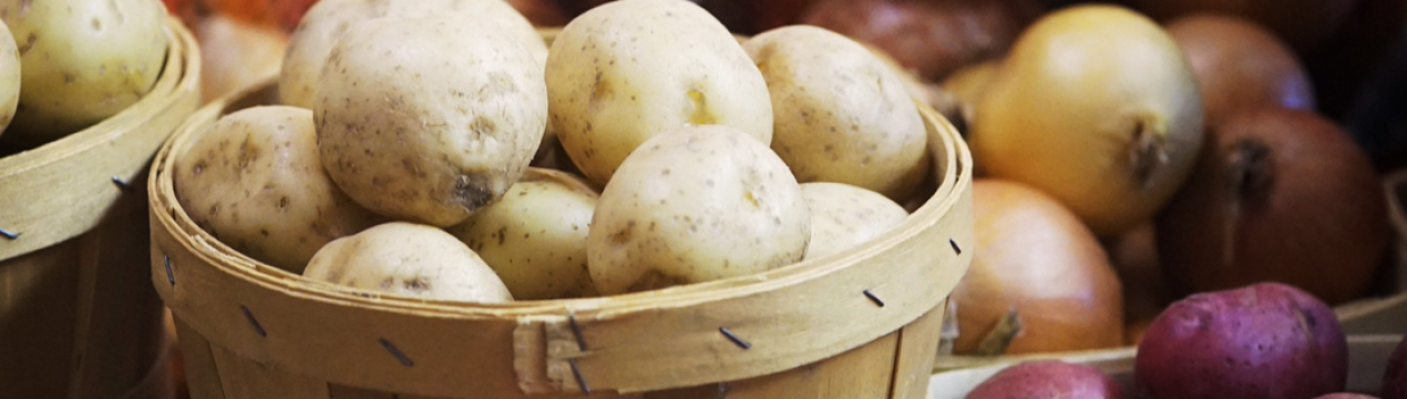 Не простий сезон: в Португалії фермери знищують картоплю і цибулю