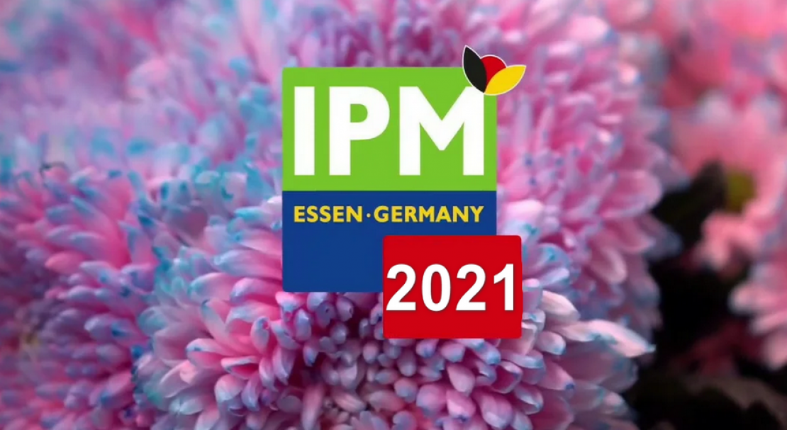 IPM Essen 2021
