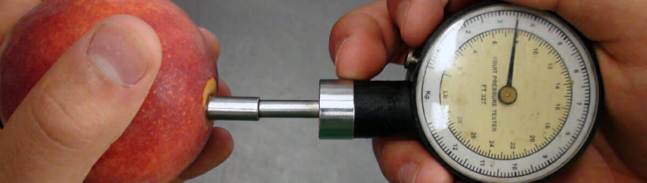 Пенетрометри для вимірювання ступеня зрілості плодів