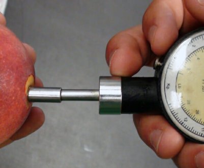 Пенетрометри для вимірювання ступеня зрілості плодів