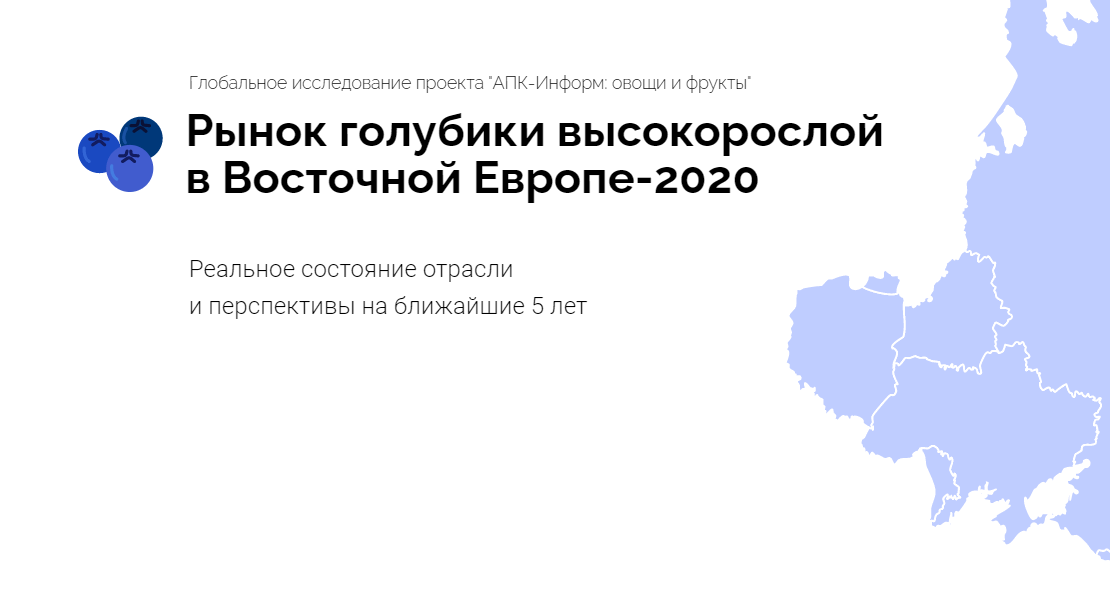 Рынок голубики высокорослой в Восточной Европе-2020
