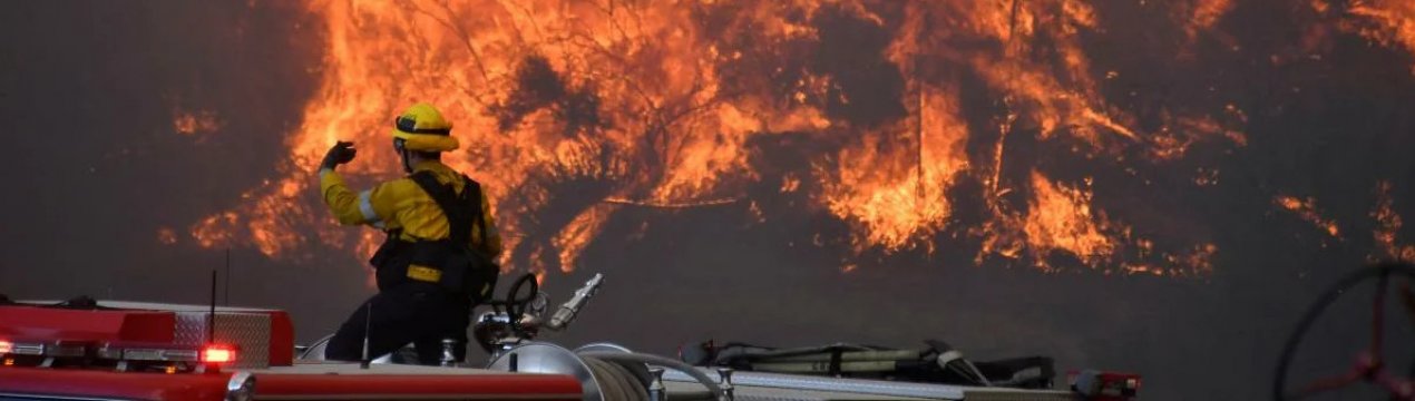 Лісові пожежі в США знищили урожай яблук