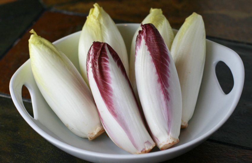 Цикорій салатний Цикорій салатний