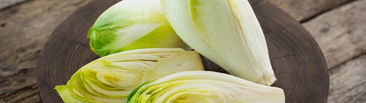 К до кінця жовтня на ринках Німеччини з'явиться місцевий цикорій