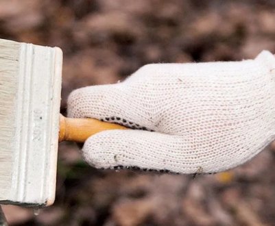 Як правильно розведувати вапно для вивітрювання дерев: поетапна інструкція