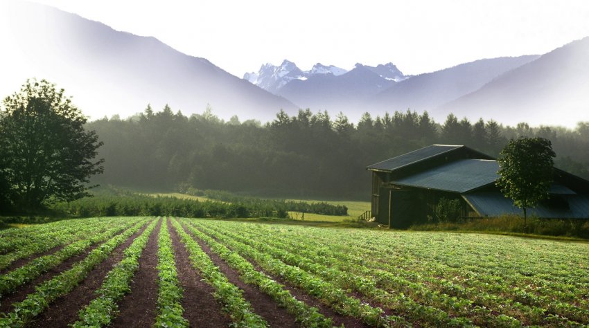 Органічне господарство Органічне господарство