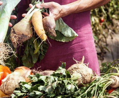 На землях Німеччини все більше органічних ферм