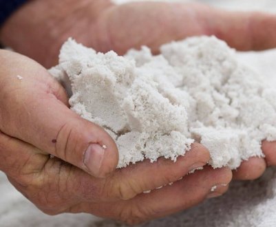 Як правильно використовувати доломітову муку в саду та на городі