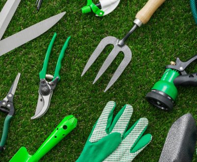 Інструменти першої необхідності, які повинні бути у кожного садівника