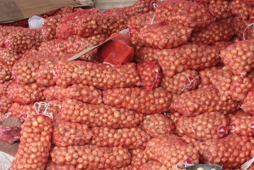 Цибуля на експорт Цибуля на експорт