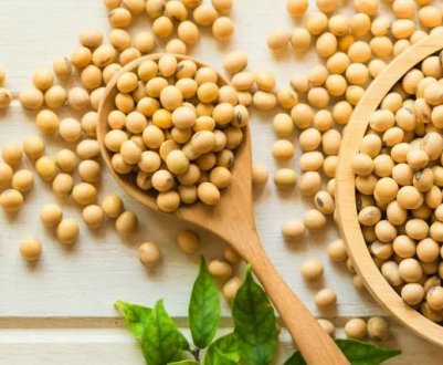 Бразилія купує уругвайську сою, щоб компенсувати найнижчі запаси за останні десятиліття