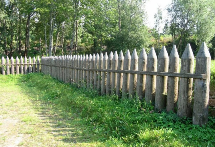 Забор частокол