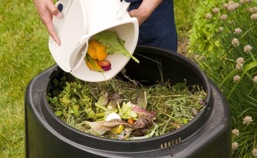 Компост Компост