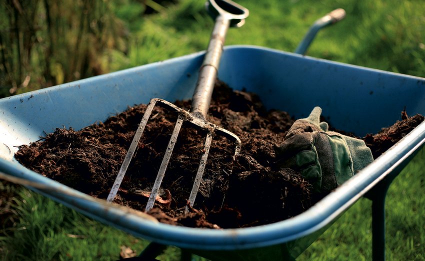 Подкормка огорода осінню Подкормка огорода осінню