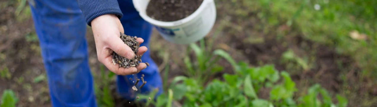 Які добрива вносити восени: чим підживити сад, город і квітники