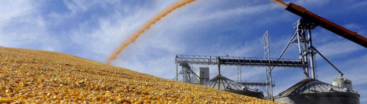 Експорт аргентинських зернових і олійних культур призупинений страйком зернових інспекторів