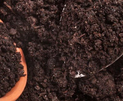 Оригінальний спосіб підготовки ґрунту для розсади: головне — не пропустити час