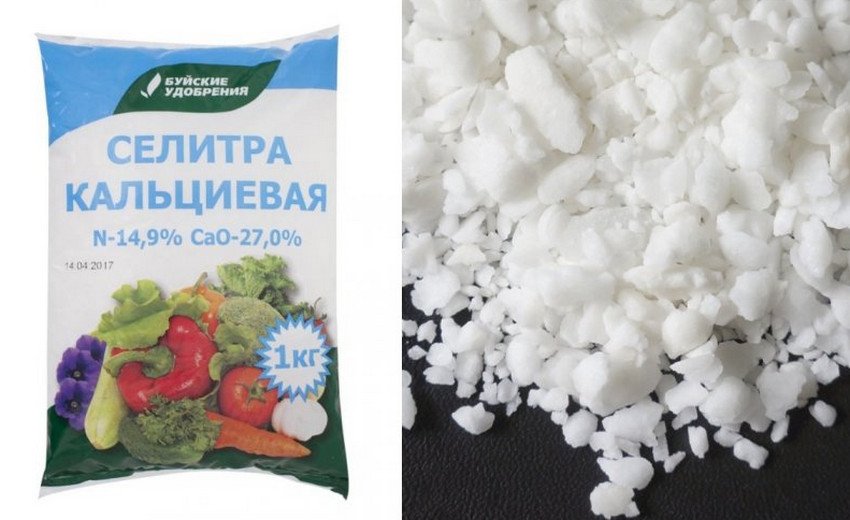 Кальцієва селітра Кальцієва селітра