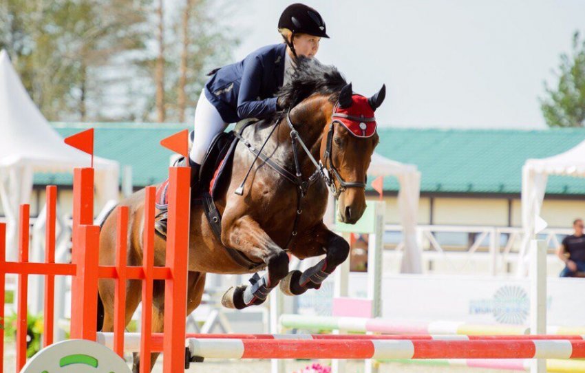 Англійський кінь