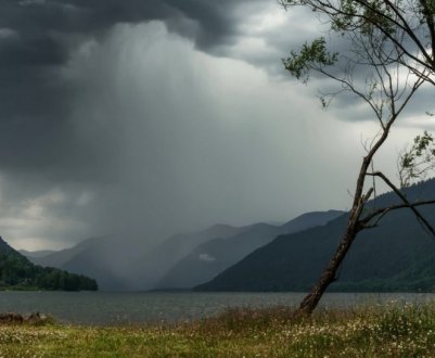 Посадки солодкого луку Севенни во Франції опустошені