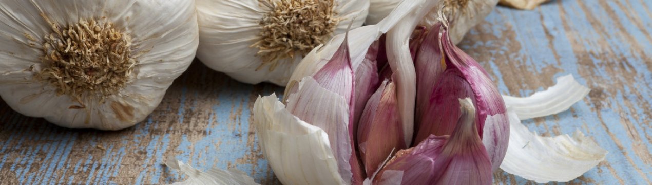 Семена есть, а урожая немає? 5 помилок при виборі посадкового матеріалу озимого часнику