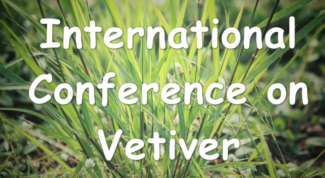 International Conference on Vetiver