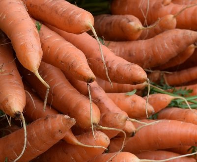 Зниження цін на бельгійську моркву стимулює експорт