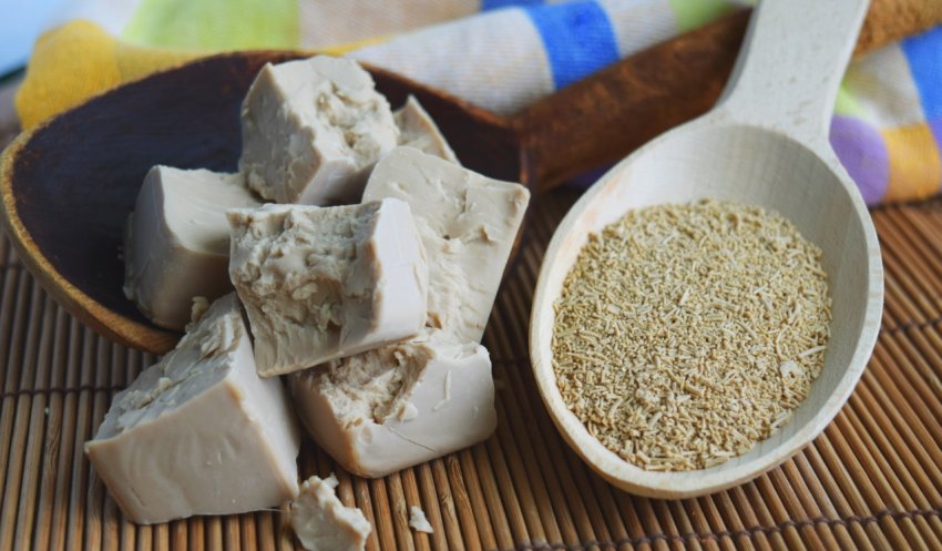 Дріжджі для підживлення рослин Дріжджі для підживлення рослин