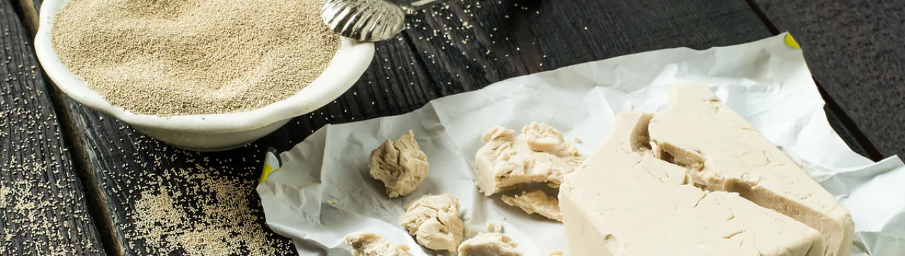 Ростуть як на дріжджах! 5 рослин, яким дріжджове добриво прискорює ріст