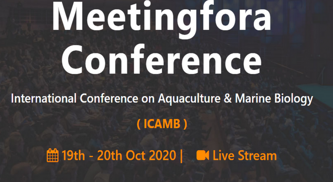 ICAMB 2020
