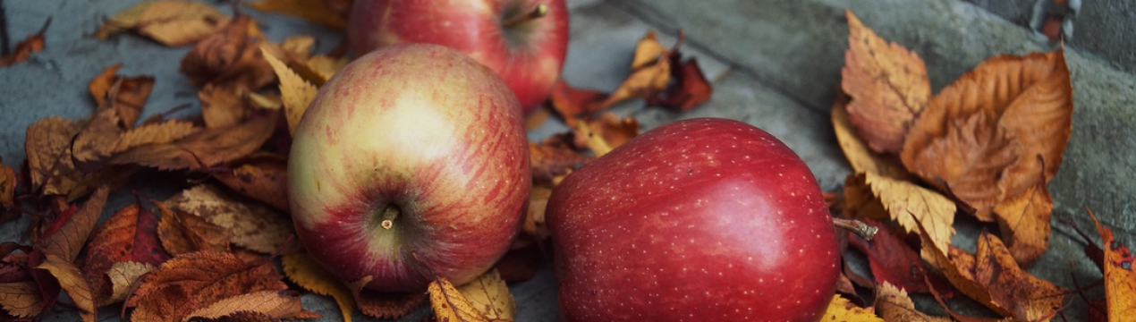 Пізні заморозки в США впливають на осінній яблуневий сезон