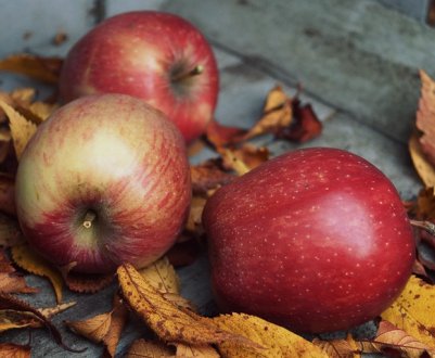 Пізні заморозки в США впливають на осінній яблуневий сезон