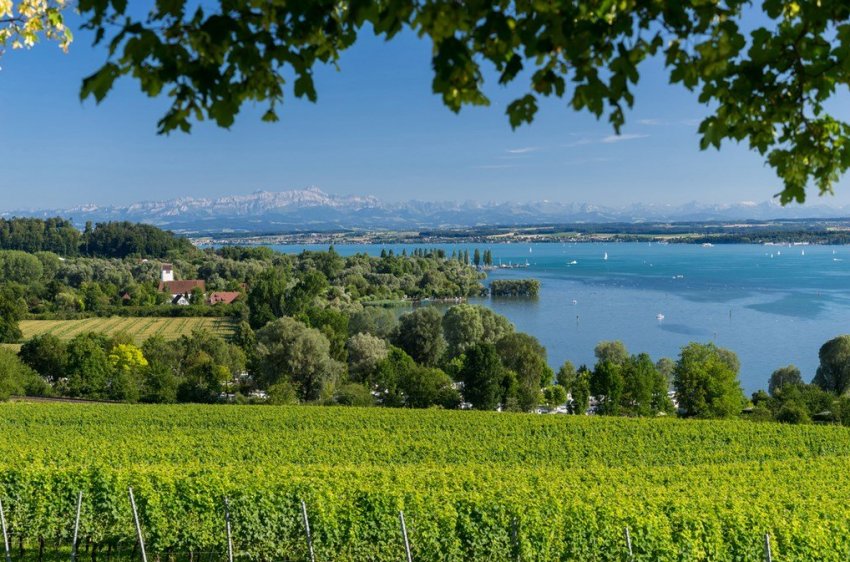 Бодензее Бодензее