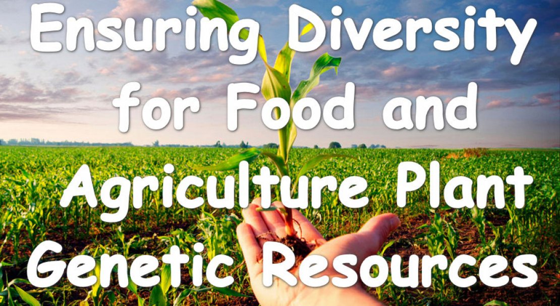 Ensuring Diversity for Food and Agriculture Plant Genetic Resources