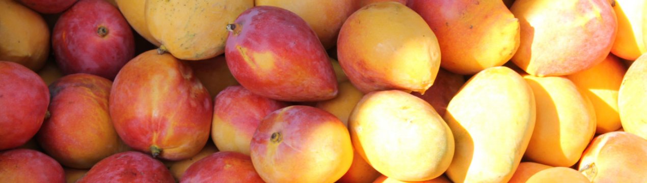 Іспанські манго - альтернатива південноамериканським