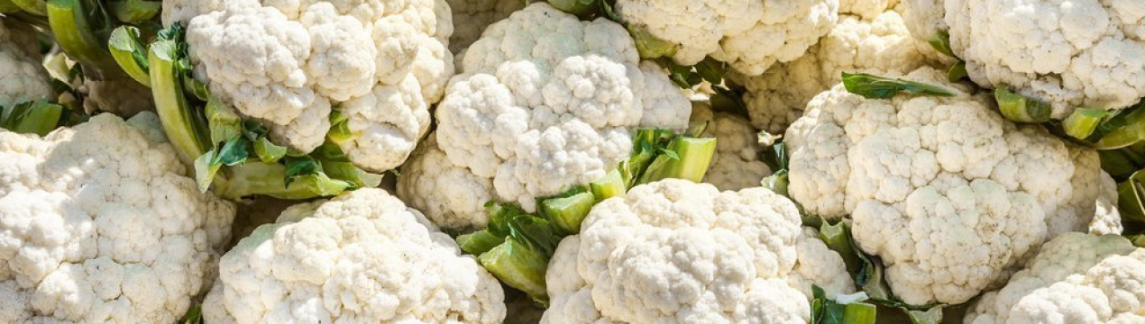 Сезон кольорової капусти виглядає перспективним