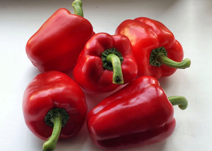 Джаміля перець Джаміля перець