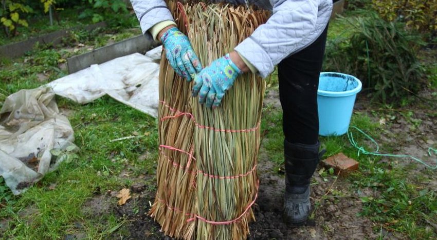 Камінь для укриття квітів