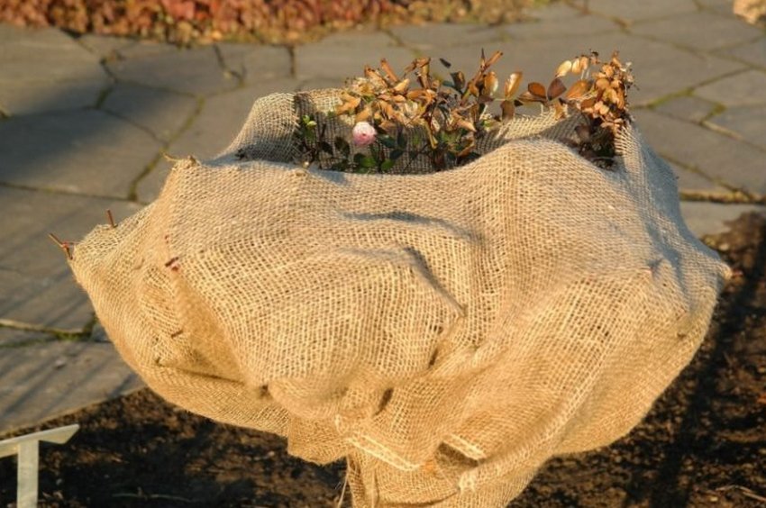 Укриття мішковиною