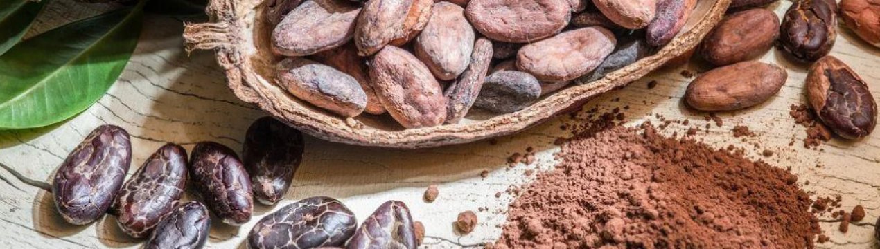 Колумбійське какао отримує визнання і розширює свій ринок у Великобританії