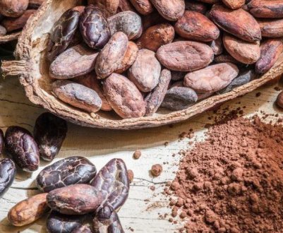 Колумбійське какао отримує визнання і розширює свій ринок у Великобританії