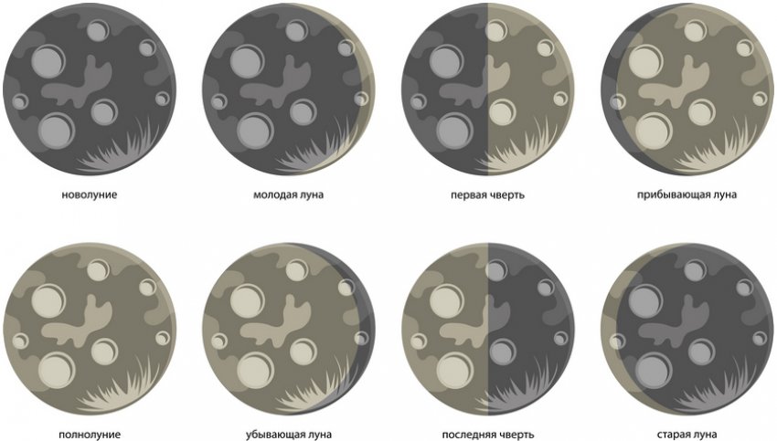Фази місяця Фази місяця